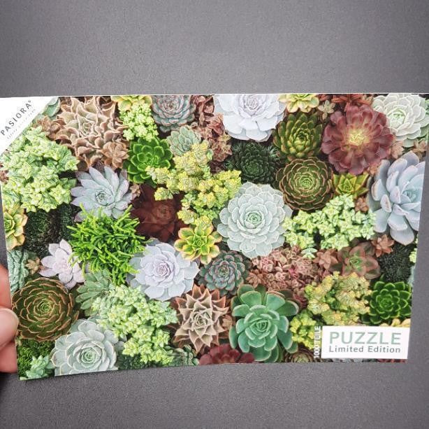 Sukkulenten Puzzle - 1000 Teile