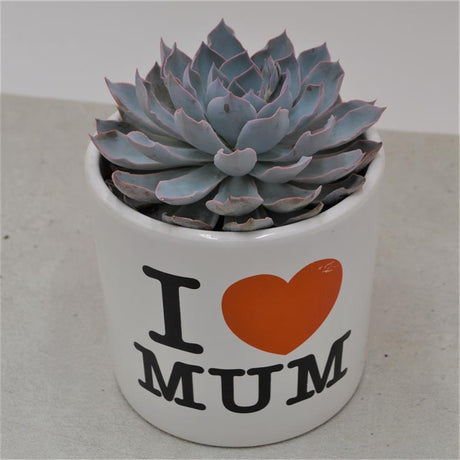 I love Mom - Übertopf