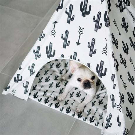 Kaktus Tipi für Hunde
