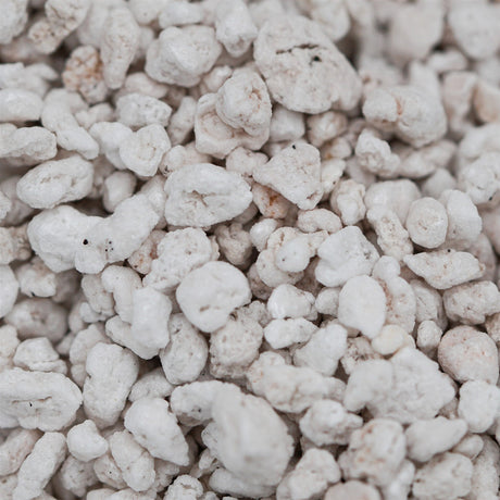 Perlite - Premium